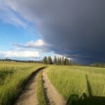 the farm at five sisters