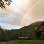 Flying Bobcat Honey Ranch