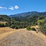 Forming eco-village commune and grief oasis